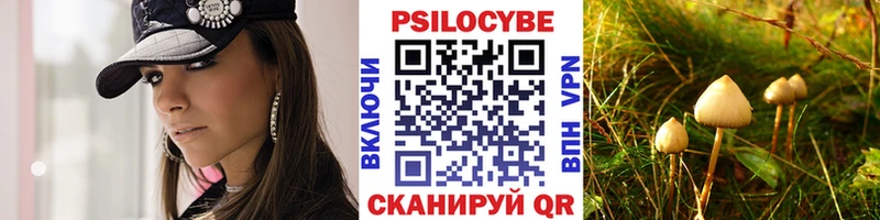 хочу наркоту  Кострома  ОМГ ОМГ как зайти  Галлюциногенные грибы мухоморы 